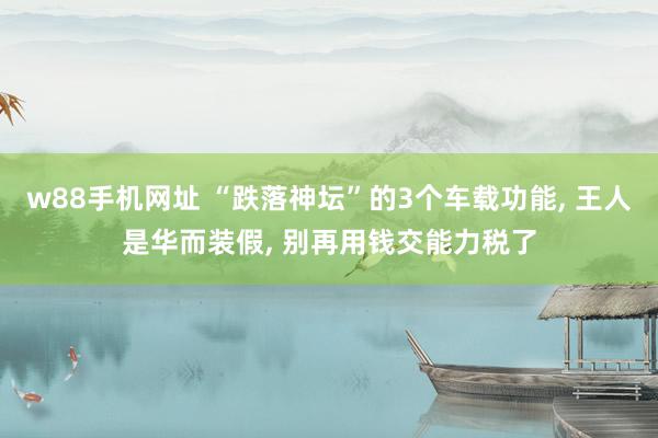 w88手机网址 “跌落神坛”的3个车载功能, 王人是华而装假, 别再用钱交能力税了