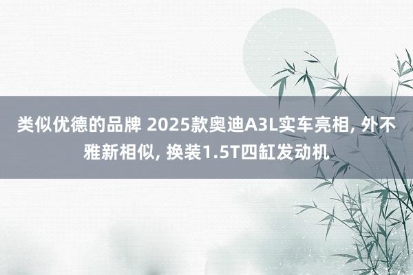 类似优德的品牌 2025款奥迪A3L实车亮相, 外不雅新相似, 换装1.5T四缸发动机